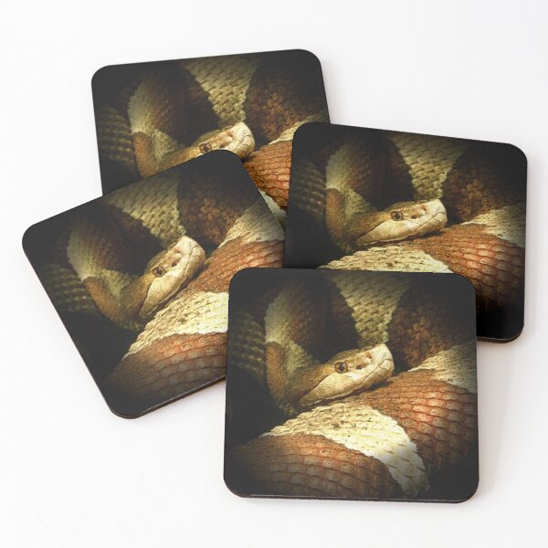 Item preview, Copperhead snake designed and sold by Guardi71.