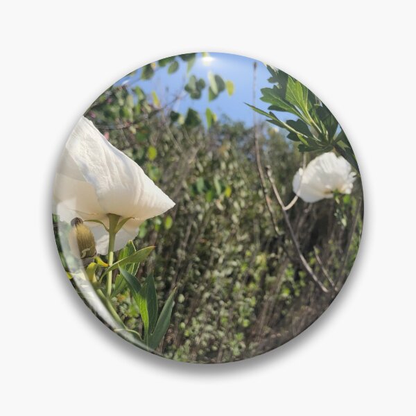 Item preview, Matilija Poppies  designed and sold by homotropic.