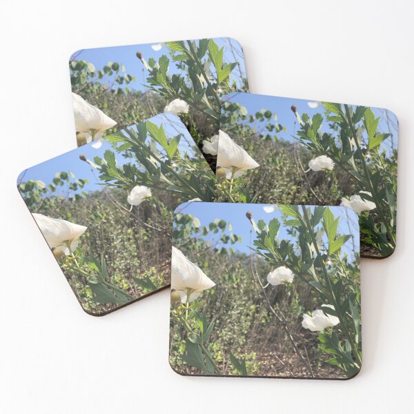 Item preview, Matilija Poppies  designed and sold by homotropic.