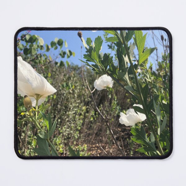 Item preview, Matilija Poppies  designed and sold by homotropic.