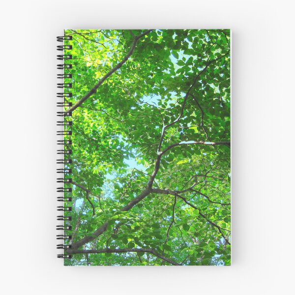 Item preview, Green Leaves, Branches and Blue Sky    designed and sold by Marymarice.