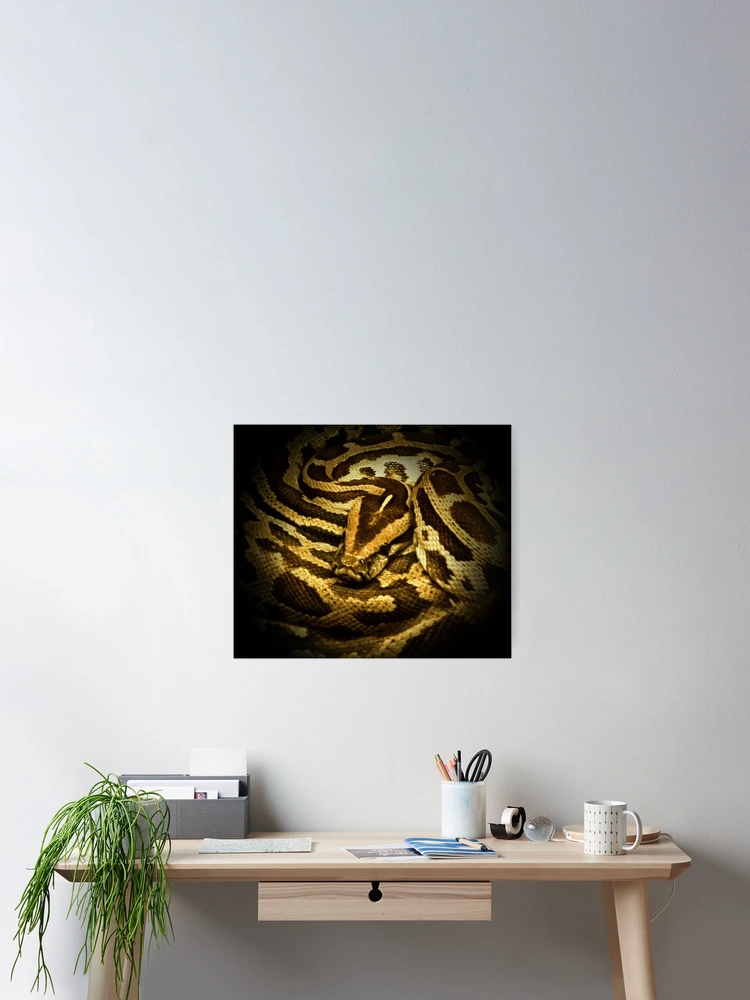 Thumbnail 2 of 3, Poster, Python designed and sold by Guardi71.
