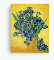 Vincent van Gogh - Irises, 1890 Canvas Print