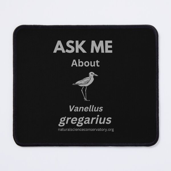 Item preview, Ask Me About Vanellus gregarius (Sociable Lapwing) designed and sold by Discovered.