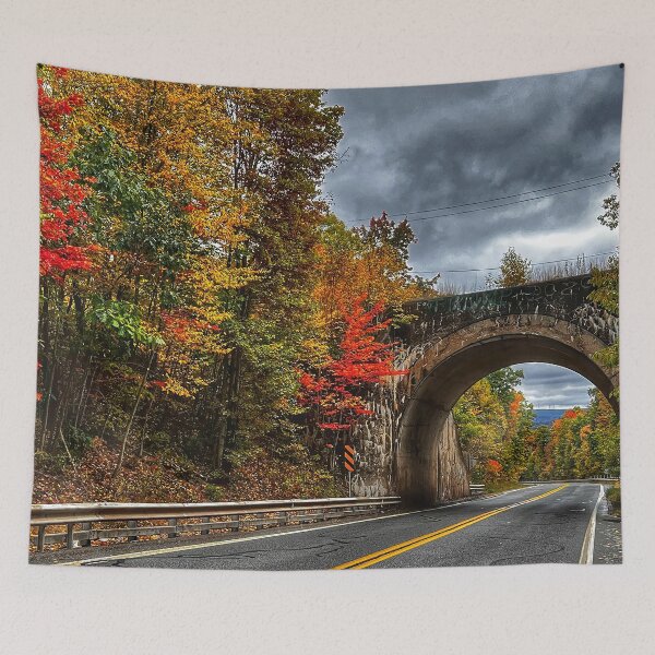 Item preview, Fall Foliage, Autumn, Colorful Fall Foliage, Colorful leaves, Pennsylvania Fall, White Haven PA,  designed and sold by Nostrathomas66.