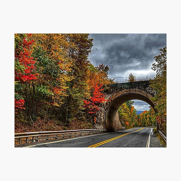 Item preview, Fall Foliage, Autumn, Colorful Fall Foliage, Colorful leaves, Pennsylvania Fall, White Haven PA,  designed and sold by Nostrathomas66.