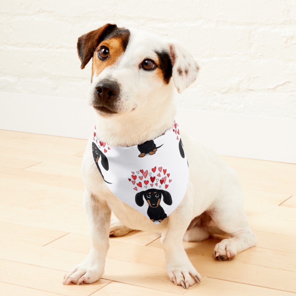 Black and Tan Dachshund with Valentine Hearts | Cute Cartoon Wiener Dog Pet Bandana