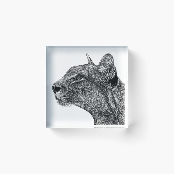 Item preview, Cougar cat designed and sold by LorenDowding.
