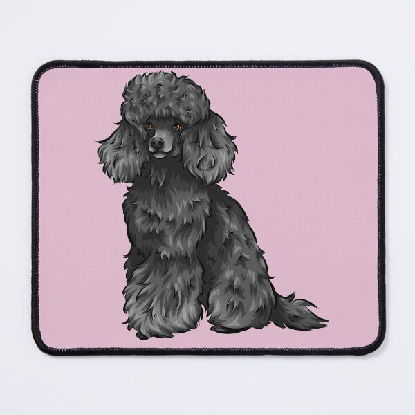 Eclipse hotsell miniature poodles