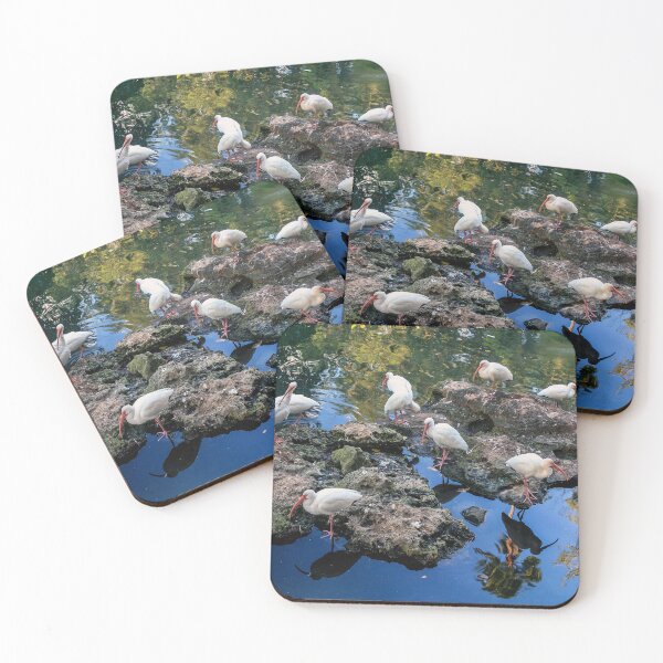 Item preview, American White Ibis designed and sold by QuackerSnaps.