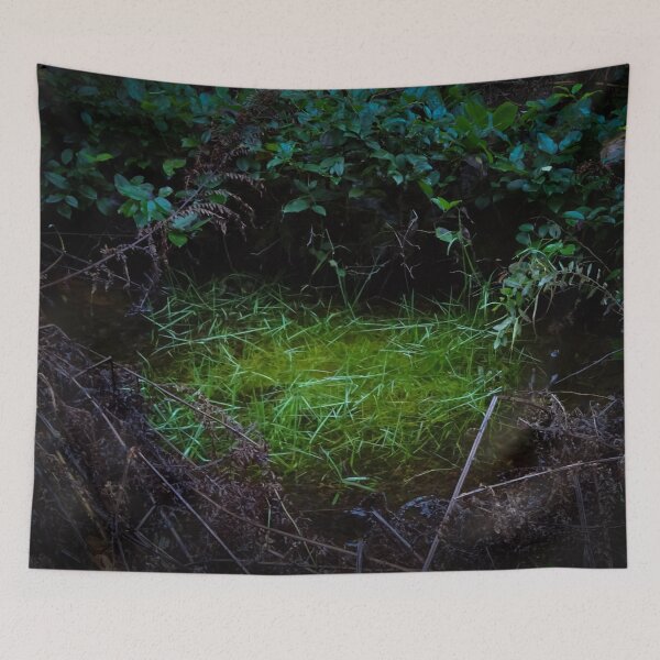 Item preview, Pacific Spirit: Hidden Emerald designed and sold by Chancelrie.