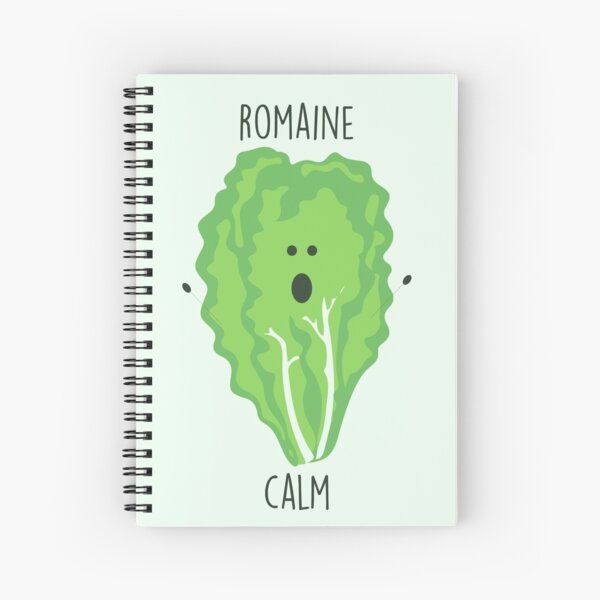 Romaine Calm // Happy Little Owl Collection Spiral Notebook