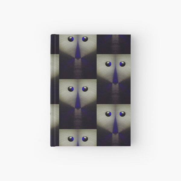 Aperçu de l'œuvre Visage de primate en acier inoxydable - Expérience de symétrie créée et vendue par Jim Baab.