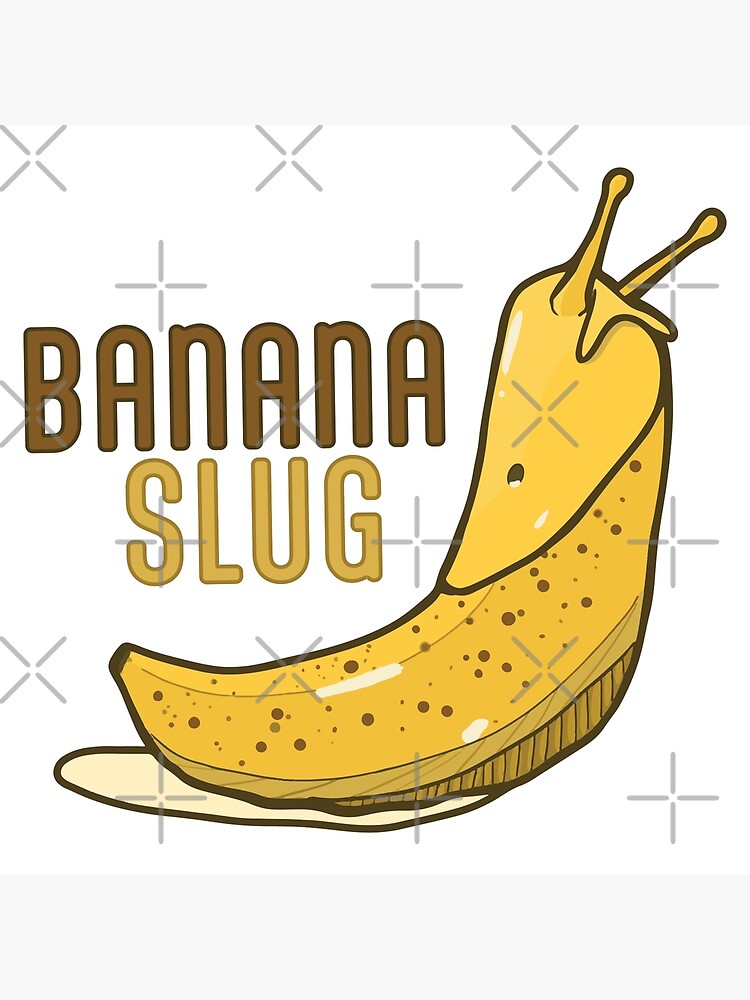 "Banana Slug With Text" Poster for Sale by LemonSharkArt Redbubble