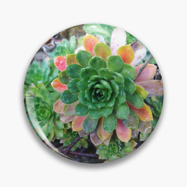 Item preview, The magic of Fairyland is right here designed and sold by Raigitam.