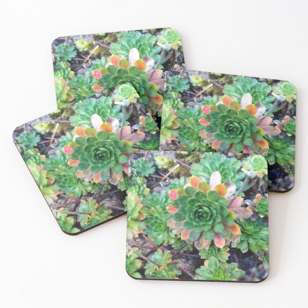 Item preview, The magic of Fairyland is right here designed and sold by Raigitam.
