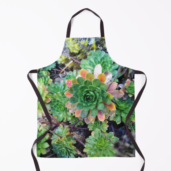 Item preview, The magic of Fairyland is right here designed and sold by Raigitam.