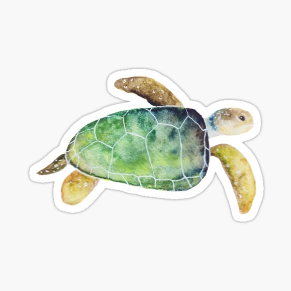 Watercolour Turtle Sticker