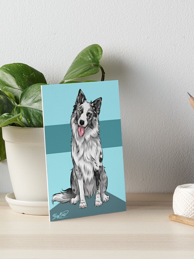 Border Collie Dog with Smooth Collie Dog available as Framed Prints,  Photos, Wall Art and Photo Gifts