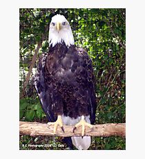 America the Beautiful Photographic Print