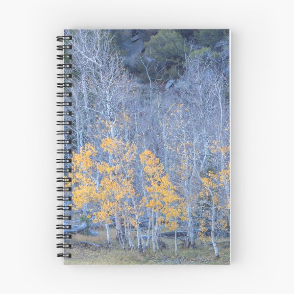 Item preview, Late in Season designed and sold by jvnimages.