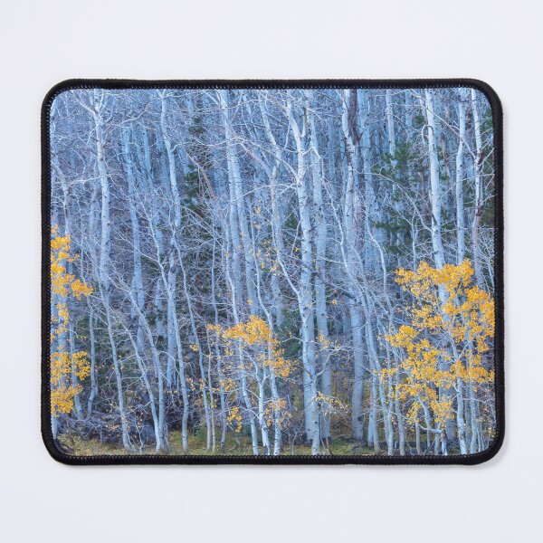 Item preview, Late in Season designed and sold by jvnimages.