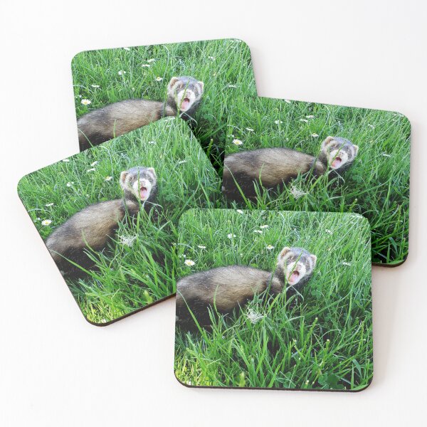 Item preview, Grizz in the grass designed and sold by Vern Treat.