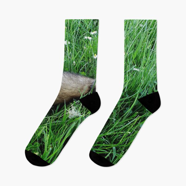 Item preview, Grizz in the grass designed and sold by Vern Treat.