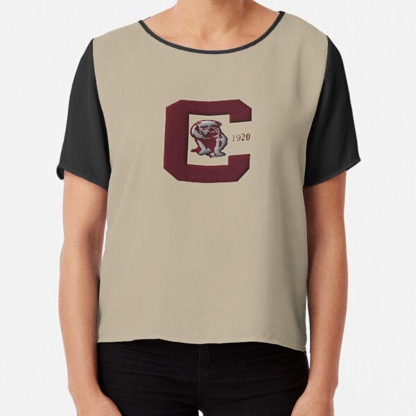 Defunct Vintage American Football Team Canton Bulldogs Emblem 1920 Active T-Shirt | Redbubble