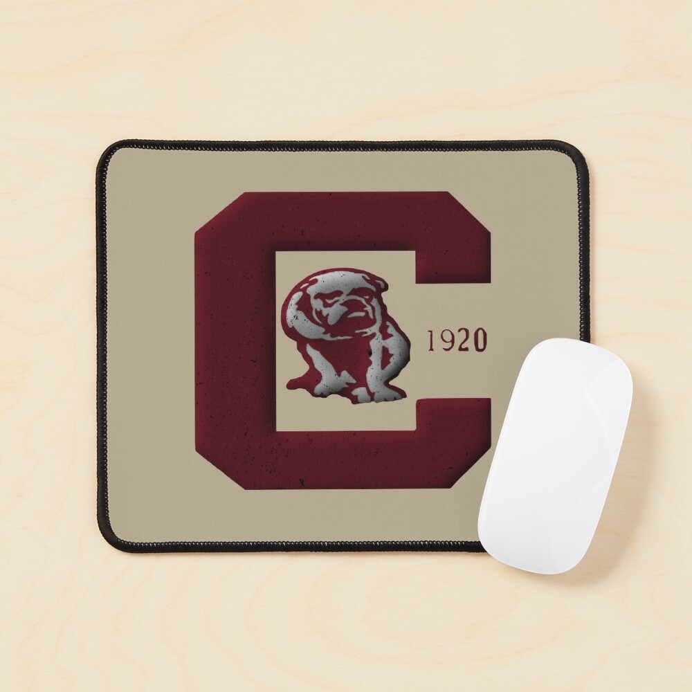 Defunct Vintage American Football Team Canton Bulldogs Emblem 1920 Active T-Shirt | Redbubble