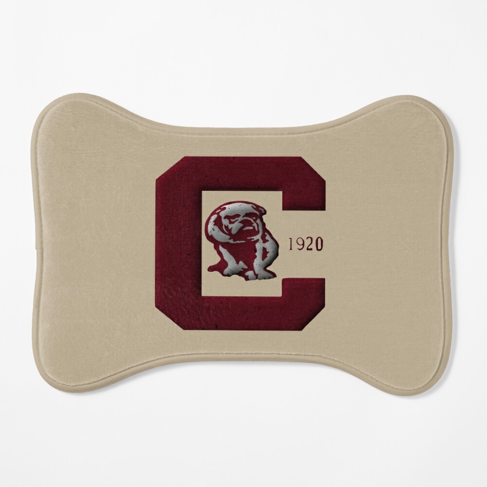 Defunct Vintage American Football Team Canton Bulldogs Emblem 1920 Active T-Shirt | Redbubble