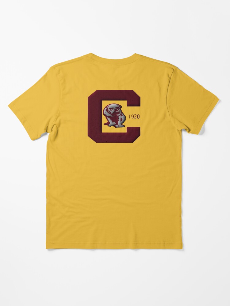 Defunct vintage american football team Canton Bulldogs emblem Active T- Shirt for Sale by Qrea