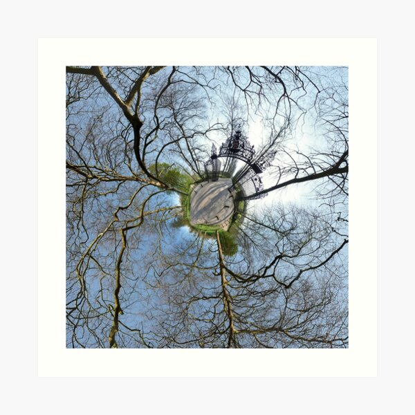 Cambridge Backs Art Print