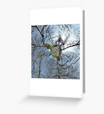 Cambridge Backs Greeting Card