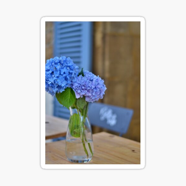 Hortensias en Périgord Sticker