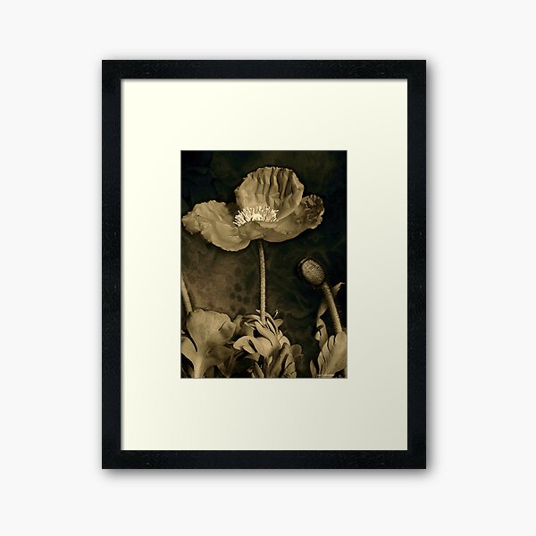 Poppy Tapestry Framed Art Print