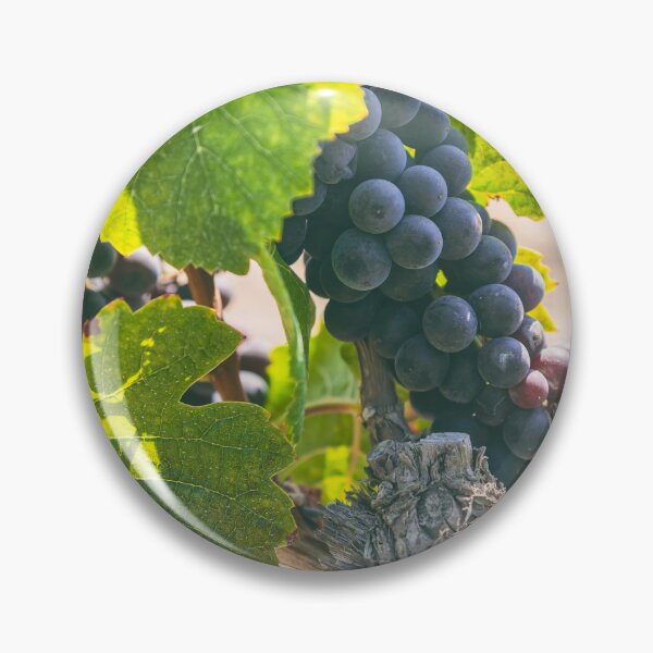 Item preview, Grapes on Vines designed and sold by jvnimages.