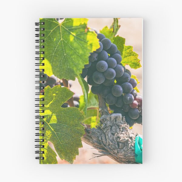 Item preview, Grapes on Vines designed and sold by jvnimages.