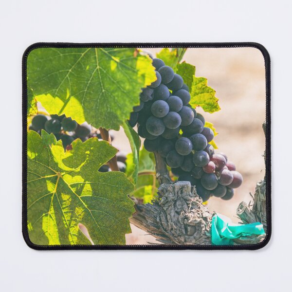 Item preview, Grapes on Vines designed and sold by jvnimages.