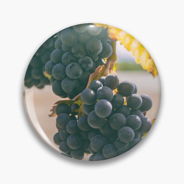 Item preview, Grapes designed and sold by jvnimages.