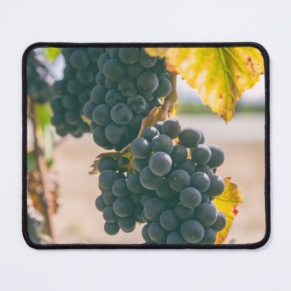 Item preview, Grapes designed and sold by jvnimages.