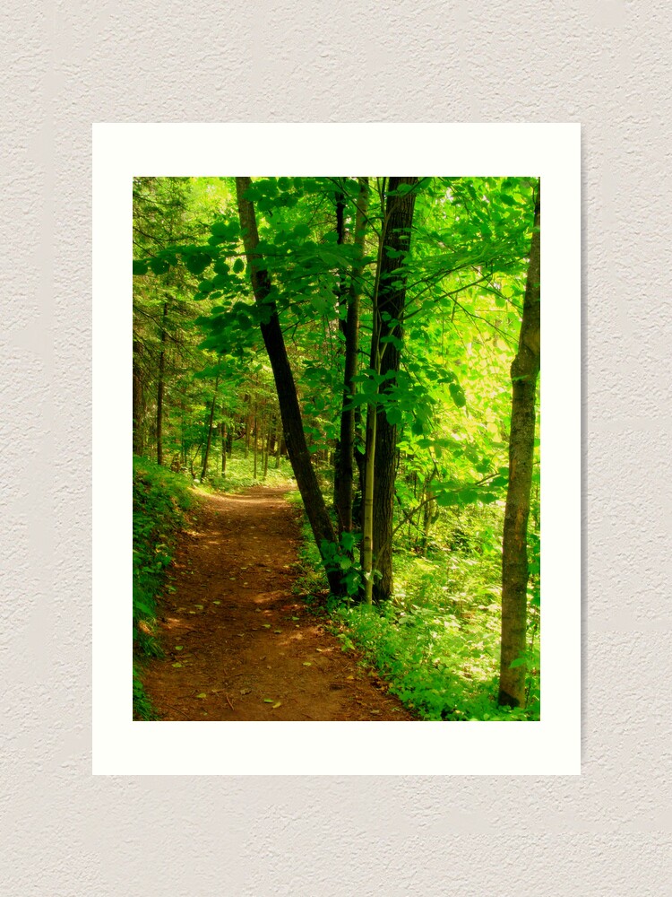 Alternate view of Your Path Art Print