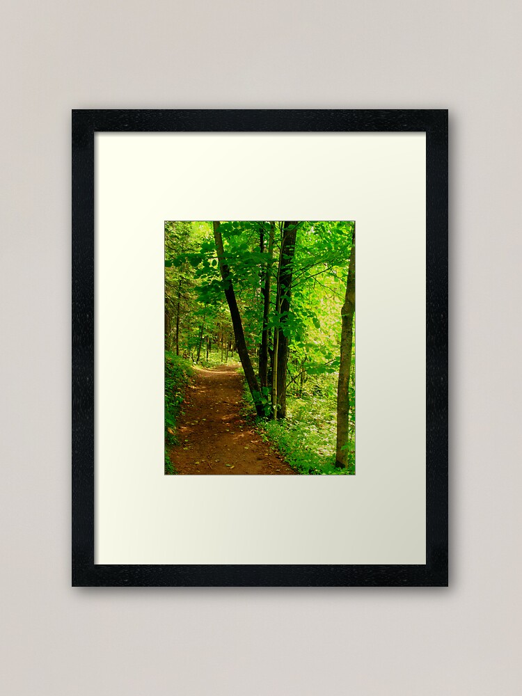 Alternate view of Your Path Framed Art Print