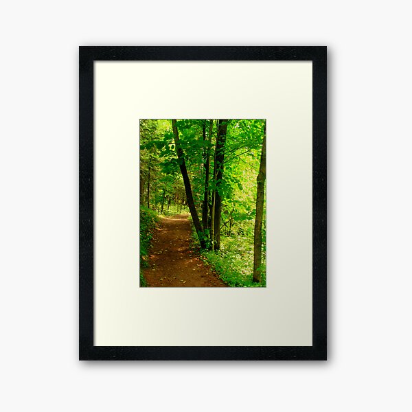 Your Path Framed Art Print