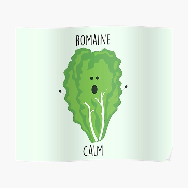 Romaine Calm // Happy Little Owl Collection Poster