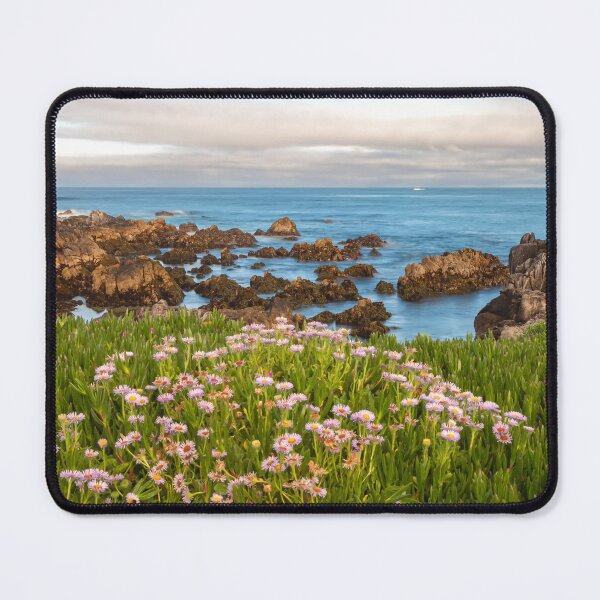 Item preview, Coastal Daisies designed and sold by jvnimages.