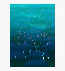 Amazonian Flight Photographic Print