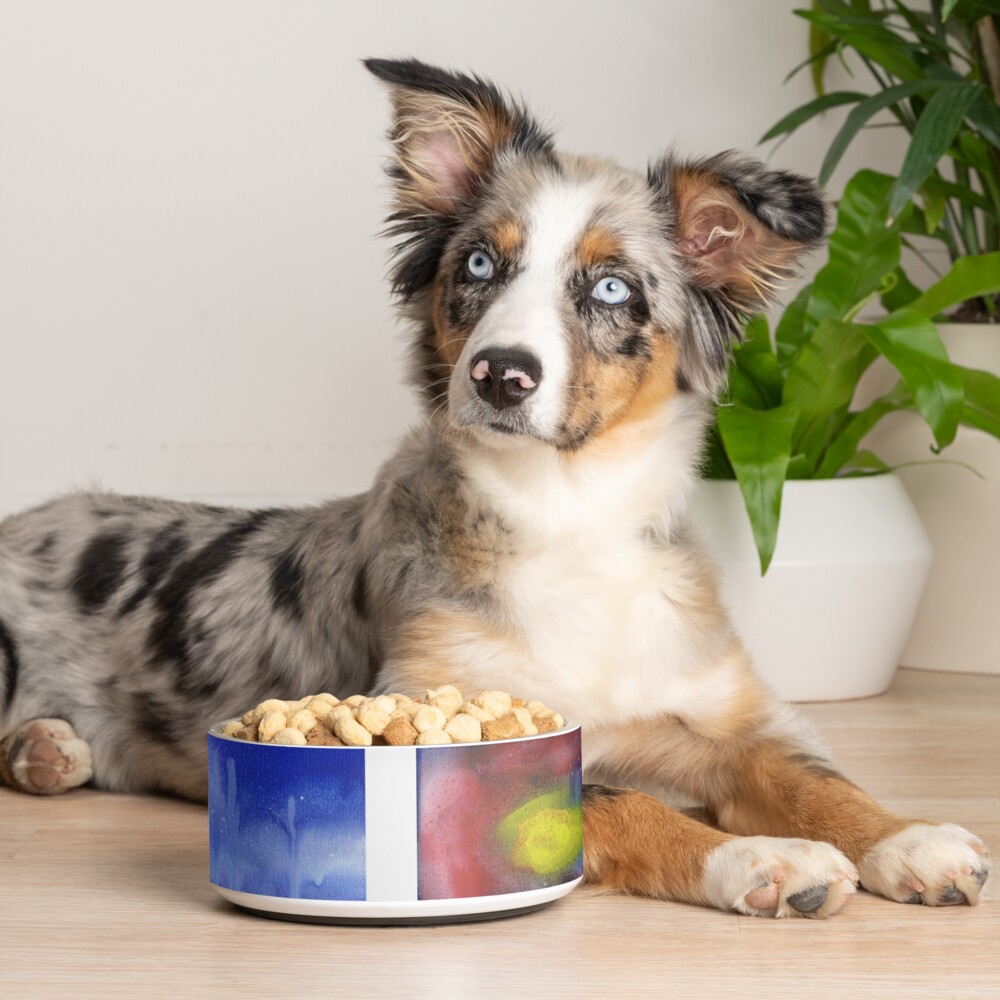 Item preview, Pet Bowl designed and sold by that5280lady.