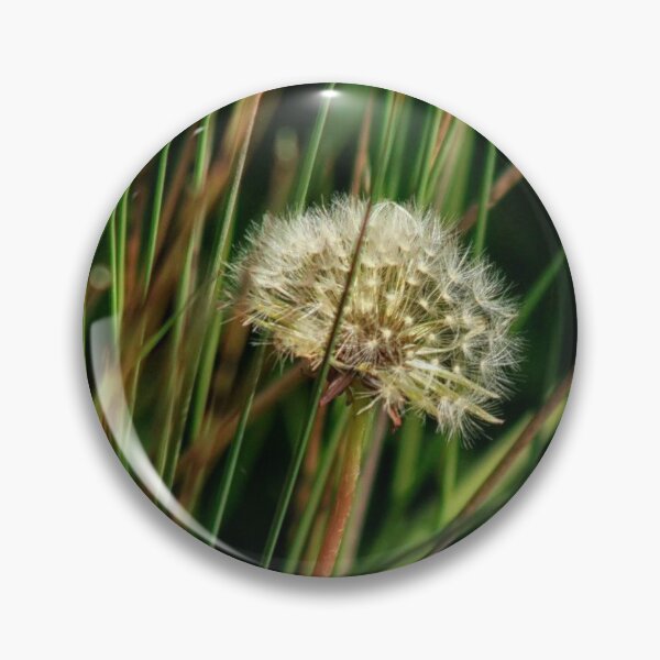 Item preview, dandelion clock amount grass designed and sold by Francespoppy.
