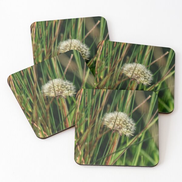 Item preview, dandelion clock amount grass designed and sold by Francespoppy.